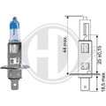 DIEDERICHS Glühlampe, Fernscheinwerfer  u.a. für ABARTH, ALFA ROMEO, ALPINA