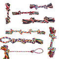 TRIXIE Spieltau Seil für einen Hund Spielzeug Hundespielzeug mit Knoten 