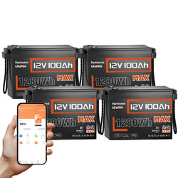 12V 100Ah Bluetooth LiFePO4 Akku Lithium Batterie BMS Solaranlage Camping Boot