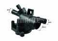 MAHLE Thermostat für NISSAN NAVARA,NV400; OPEL MOVANO B; RENAULT MASTER III