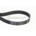 Keilrippenriemen CONTINENTAL CTAM 6PK1075 für FIAT HONDA LANCIA MERCEDES-BENZ