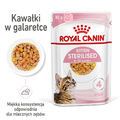 ROYAL CANIN Kitten Sterilized 12x85g Nassfutter in Gelee für Kätzchen bis 12 Mon