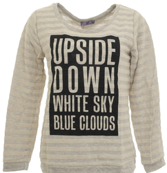 AJC Damen Sweatshirt Pullover Pulli Shirt langarm Streifen Print grau 364998