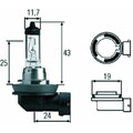 1x DIEDERICHS H8 Glühlampe Fernlicht 12V 35W PGJ19-1 Halogen LID10034