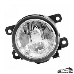 TYC 19-12317-01-9 Nebelscheinwerfer Links oder Rechts für Ford Ecosport 2008 ->