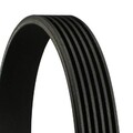 CONTINENTAL CTAM Keilrippenriemen 6PK1600 für VW SEAT PEUGEOT AUDI CHRYSLER