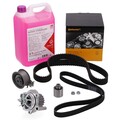 CONTI Zahnriemensatz + Wasserpumpe + Keilriemen für VW GOLF 5 PASSAT B6 2.0 TDI