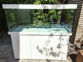 Aquarium Juwel Rio 450 Liter mit Unterschrank ohne Innenfilter