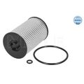 1x Ölfilter MEYLE 100 322 0019 passend für AUDI MAN SEAT SKODA VW