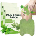 50-100x Schmerzlinderungspflaster für Knie Beifuß Knie Schmerzlinderungspflaster