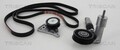 Keilrippenriemensatz TRISCAN 8642 29008 für SKODA AUDI VW PASSAT SUPERB 8D2 3B5