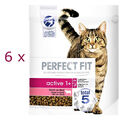 (€ 7,64/kg) Perfect Fit Active 1+ mit Rind Katzenfutter trock 6 x 750 g = 4,5 kg