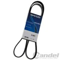 DAYCO KEILRIPPENRIEMEN 5PK1300 passend für AUDI A4 A6 CABRIOLET MERCEDES-BENZ