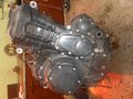 Triumph 1215 Explorer Motor
