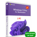 Microsoft Windows 11 Pro Workstation 32/64 Bit Product Key (Lifetime Activation)