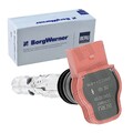 BORGWARNER (BERU) ZÜNDSPULE ZÜNDMODUL passend für AUDI A4 A6 A8 | ZSE051