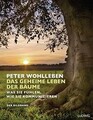 Das geheime Leben der Bäume: Was sie fühlen, wie ... | Buch | Zustand akzeptabel
