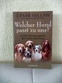 Cesar Millan - Welcher Hund passt zu uns? - Taschenbuch 2012 - NEU 