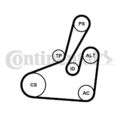 CONTINENTAL CTAM 6PK1710K2 Keilrippenriemensatz für CITROËN  passend für FIAT