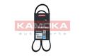 KAMOKA 7016047 Keilrippenriemen für AUDI,FIAT,FORD,MINI,OPEL,PEUGEOT,RENAULT,REN