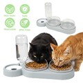 3 in 1 Katzennapf Set 15° Neigbarer Doppelnapf mit Automatischer Wasserflasche