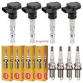 4x MEYLE Zündspule +4x NGK Zündkerze für VW Golf VI 5K1 1.4 6R_ 1.2 Skoda Fabia
