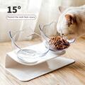 Haustier Dual Futternapf Fressnapf Katzennapf schräge Schüssel für kleine New