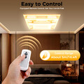 LED Decken Lampe Japanischen Schaffell-Deckenlampe Holzdekor+Fernbedienung 24W