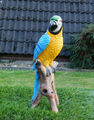 Gartenfigur Papagei blau ca. 30cm Ara Vogel 301211 lebensecht Haus Garten Deko