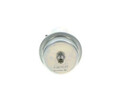 BOSCH Druckspeicher Kraftstoffdruck (0 438 170 017) für Rolls-Royce Silver
