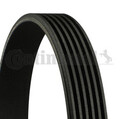CONTINENTAL CTAM (6PK1217) Keilriemen, Keilrippenriemen für CITROEN FIAT FORD