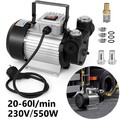 Dieselpumpe 230V 550W Heizölpumpe selbstansaugend Ölabsaugpumpe Kraftstoffpumpe