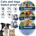 Insekten-Floh-und-Zeckenhalsband-8 Monate-Schutz-für-Haustier-Anti-Katzen-Hund /