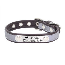 Personalisiertes reflektierendes Katzen Hundehalsband mit Namensschild graviert