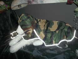 Hunde Mantel Camouflage Leichter Regenmantel 40 cm VK an Tierschutz
