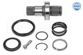 MEYLE 100 498 0245 Steckwelle, Differential für VW
