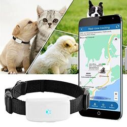 GPS-Tracker für Katzen Hunde Haustiere mit Halsband Wasserdicht IP66 500mAh
