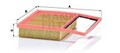 MANN-FILTER Luftfilter Motor Air Filter C 24 013