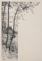 Philipp Franck.  Bäume am See. Orig. Federzeichnung mit Tusche. Signiert.