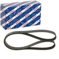 BOSCH KEILRIPPENRIEMEN 6PK1440 passend für CITROËN BERLINGO JUMPY XSARA FIAT SCU