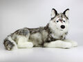 Kuscheltier Plüsch Husky Hund XXL liegend Plüschtier Stofftier 100 cm groß