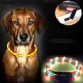 LED Halsband Visio Light Leuchthalsband Hundehalsband Leuchtschlauch USB Neu