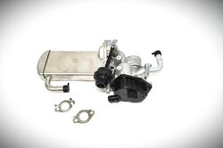 NRF AGR Kühler  für VW Multivan Transporter T5 - 48209