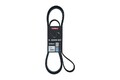KAMOKA Keilrippenriemen 7016226 für AUDI ISUZU JEEP MAZDA MERCEDES-BENZ OPEL
