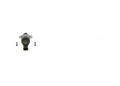 Regelventil Kraftstoffmenge Common Rail System Bosch für 1462C00983