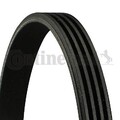 CONTINENTAL CTAM Keilrippenriemen für AUDI AUSTIN BMW CHRYSLER DODGE FIAT