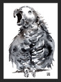 ACEO Aquarelldruck afrikanisch grau Papagei bildende Kunst Gemälde von ili