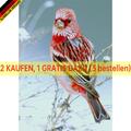 5D DIY Full Drill Diamond Painting Cross Stitch Embroidery (Animal-W090)