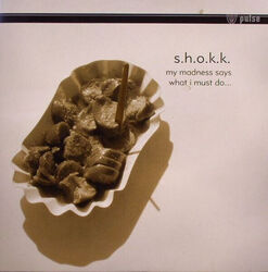 S.H.O.K.K. - My Madness Says What I Must Do... (12") (Very Good Plus (VG+)) - 30