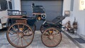 Zwei und Vierspänner Kutsche Dressurbreak  PONY